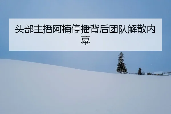 tou-bu-zhu-bo-a-nan-ting-bo-bei-hou-tuan-dui-jie-san-nei-mu-2-978.jpg